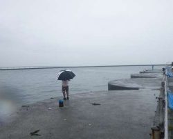 今年初の新タコゲット！